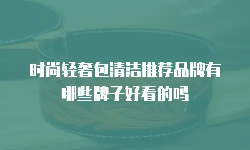 时尚轻奢包清洁推荐品牌有哪些牌子好看的吗