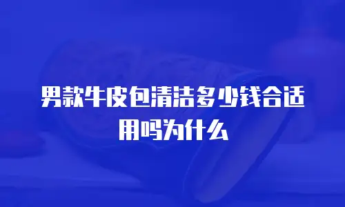 男款牛皮包清洁多少钱合适用吗为什么
