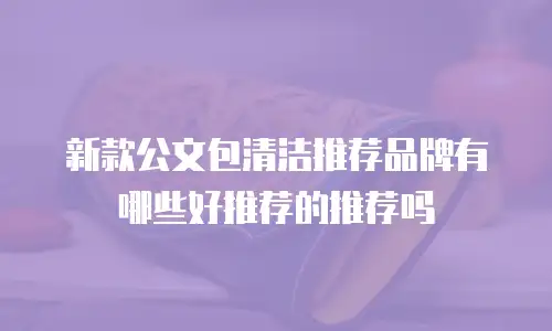 新款公文包清洁推荐品牌有哪些好推荐的推荐吗