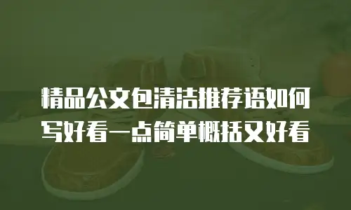 精品公文包清洁推荐语如何写好看一点简单概括又好看
