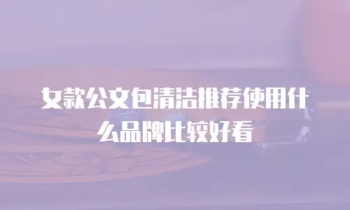 女款公文包清洁推荐使用什么品牌比较好看