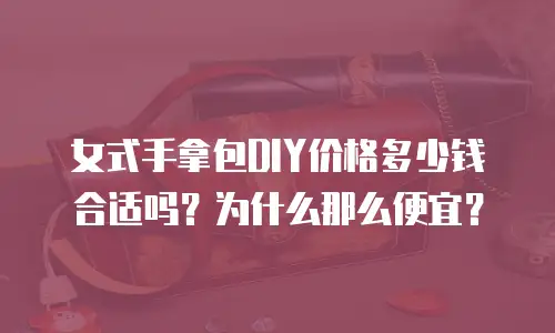 女式手拿包DIY价格多少钱合适吗？为什么那么便宜？
