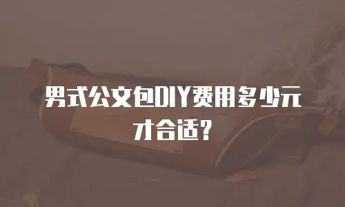 男式公文包DIY费用多少元才合适？