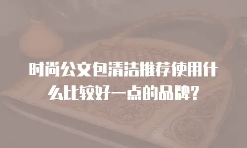 时尚公文包清洁推荐使用什么比较好一点的品牌？