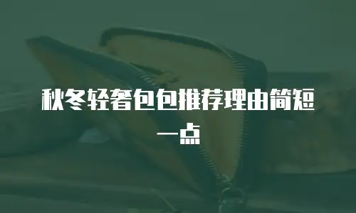 秋冬轻奢包包推荐理由简短一点