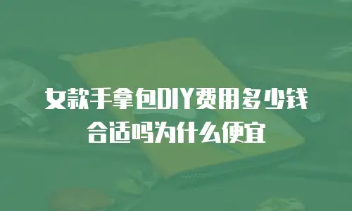 女款手拿包DIY费用多少钱合适吗为什么便宜