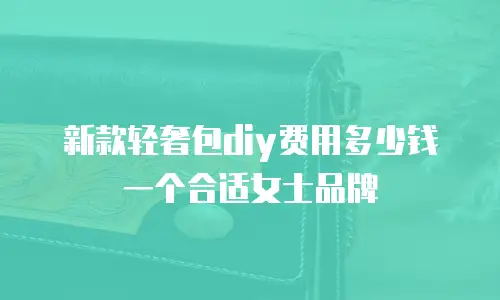 新款轻奢包diy费用多少钱一个合适女士品牌