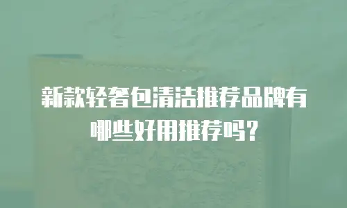 新款轻奢包清洁推荐品牌有哪些好用推荐吗？