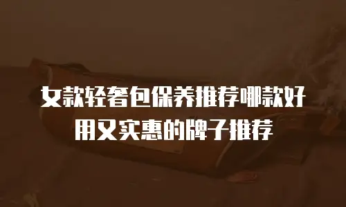 女款轻奢包保养推荐哪款好用又实惠的牌子推荐
