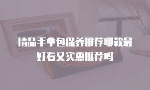 精品手拿包保养推荐哪款最好看又实惠推荐吗