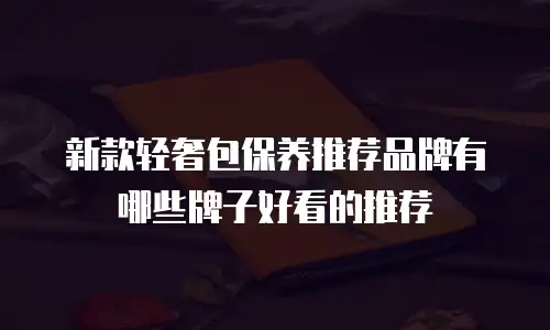 新款轻奢包保养推荐品牌有哪些牌子好看的推荐