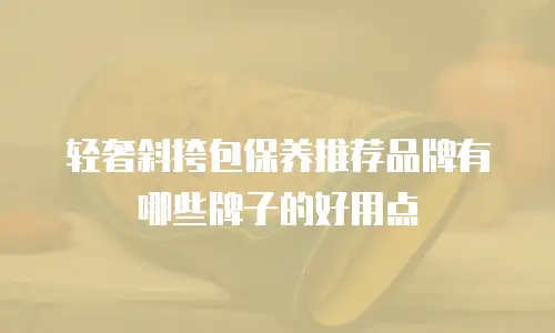 轻奢斜挎包保养推荐品牌有哪些牌子的好用点