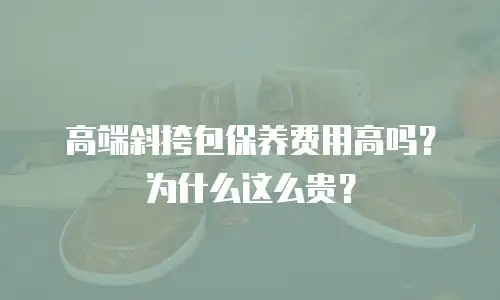 高端斜挎包保养费用高吗？为什么这么贵？