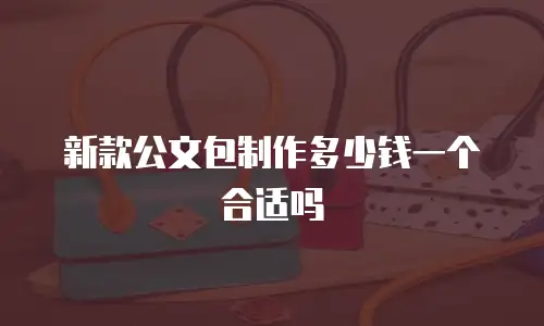 新款公文包制作多少钱一个合适吗