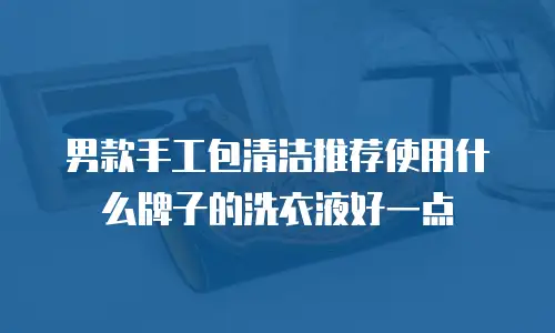 男款手工包清洁推荐使用什么牌子的洗衣液好一点