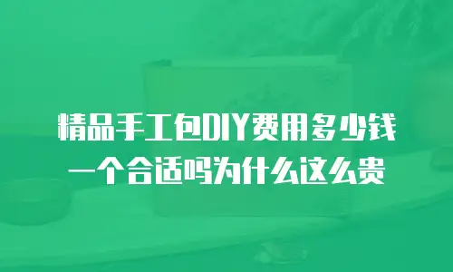 精品手工包DIY费用多少钱一个合适吗为什么这么贵
