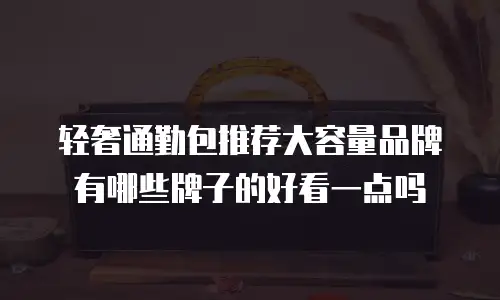 轻奢通勤包推荐大容量品牌有哪些牌子的好看一点吗