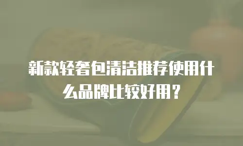 新款轻奢包清洁推荐使用什么品牌比较好用？