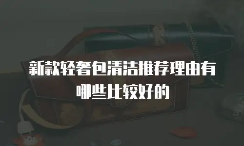 新款轻奢包清洁推荐理由有哪些比较好的