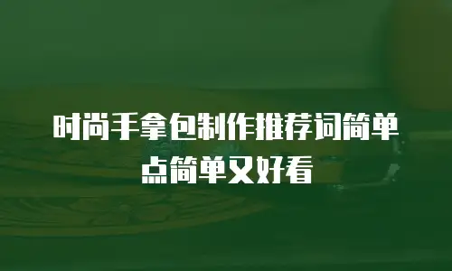 时尚手拿包制作推荐词简单点简单又好看