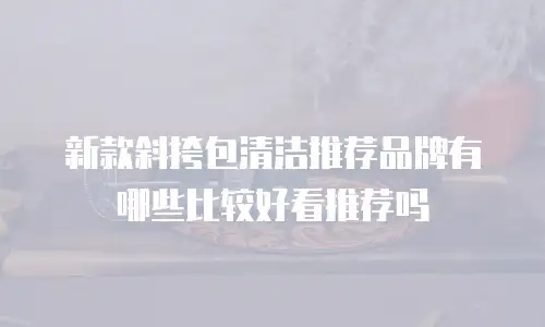新款斜挎包清洁推荐品牌有哪些比较好看推荐吗