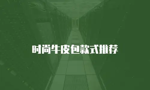 时尚牛皮包款式推荐