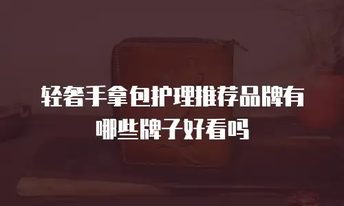 轻奢手拿包护理推荐品牌有哪些牌子好看吗