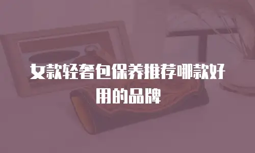 女款轻奢包保养推荐哪款好用的品牌