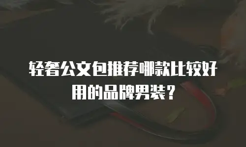 轻奢公文包推荐哪款比较好用的品牌男装？