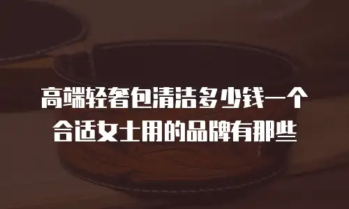 高端轻奢包清洁多少钱一个合适女士用的品牌有那些