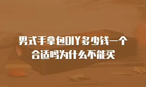 男式手拿包DIY多少钱一个合适吗为什么不能买