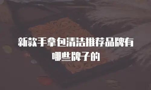 新款手拿包清洁推荐品牌有哪些牌子的