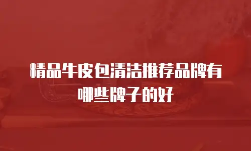 精品牛皮包清洁推荐品牌有哪些牌子的好