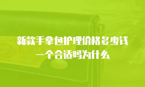 新款手拿包护理价格多少钱一个合适吗为什么