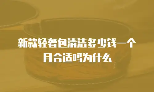 新款轻奢包清洁多少钱一个月合适吗为什么