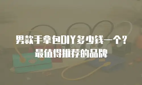 男款手拿包DIY多少钱一个？最值得推荐的品牌