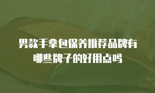 男款手拿包保养推荐品牌有哪些牌子的好用点吗