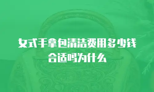 女式手拿包清洁费用多少钱合适吗为什么
