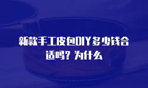 新款手工皮包DIY多少钱合适吗？为什么