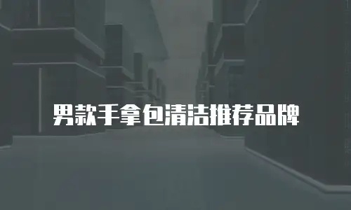 男款手拿包清洁推荐品牌