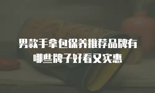 男款手拿包保养推荐品牌有哪些牌子好看又实惠