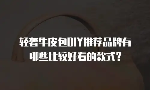 轻奢牛皮包DIY推荐品牌有哪些比较好看的款式？