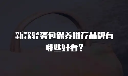 新款轻奢包保养推荐品牌有哪些好看？