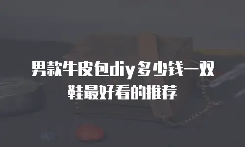 男款牛皮包diy多少钱一双鞋最好看的推荐