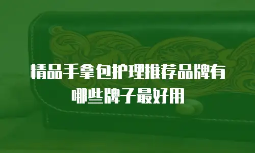 精品手拿包护理推荐品牌有哪些牌子最好用