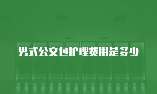 男式公文包护理费用是多少