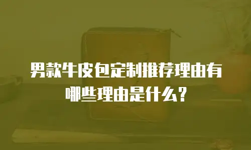 男款牛皮包定制推荐理由有哪些理由是什么？