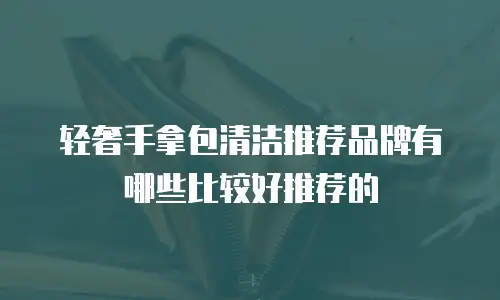 轻奢手拿包清洁推荐品牌有哪些比较好推荐的