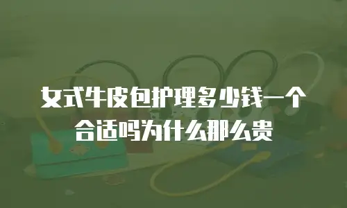 女式牛皮包护理多少钱一个合适吗为什么那么贵