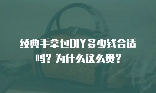 经典手拿包DIY多少钱合适吗？为什么这么贵？